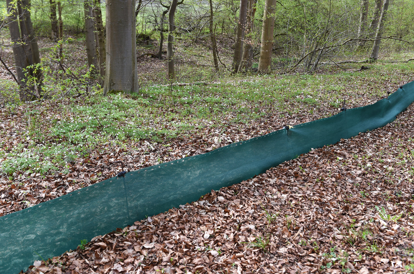 Ein grüner Amphibien-Schutzzaun, der sich durch den Waldboden zieht und von Bäumen und jungen Pflanzen umgeben ist. Der Zaun ist mit Pfosten befestigt und dient dazu, Amphibien sicher durch den Wald zu leiten und vor Gefahren zu schützen.