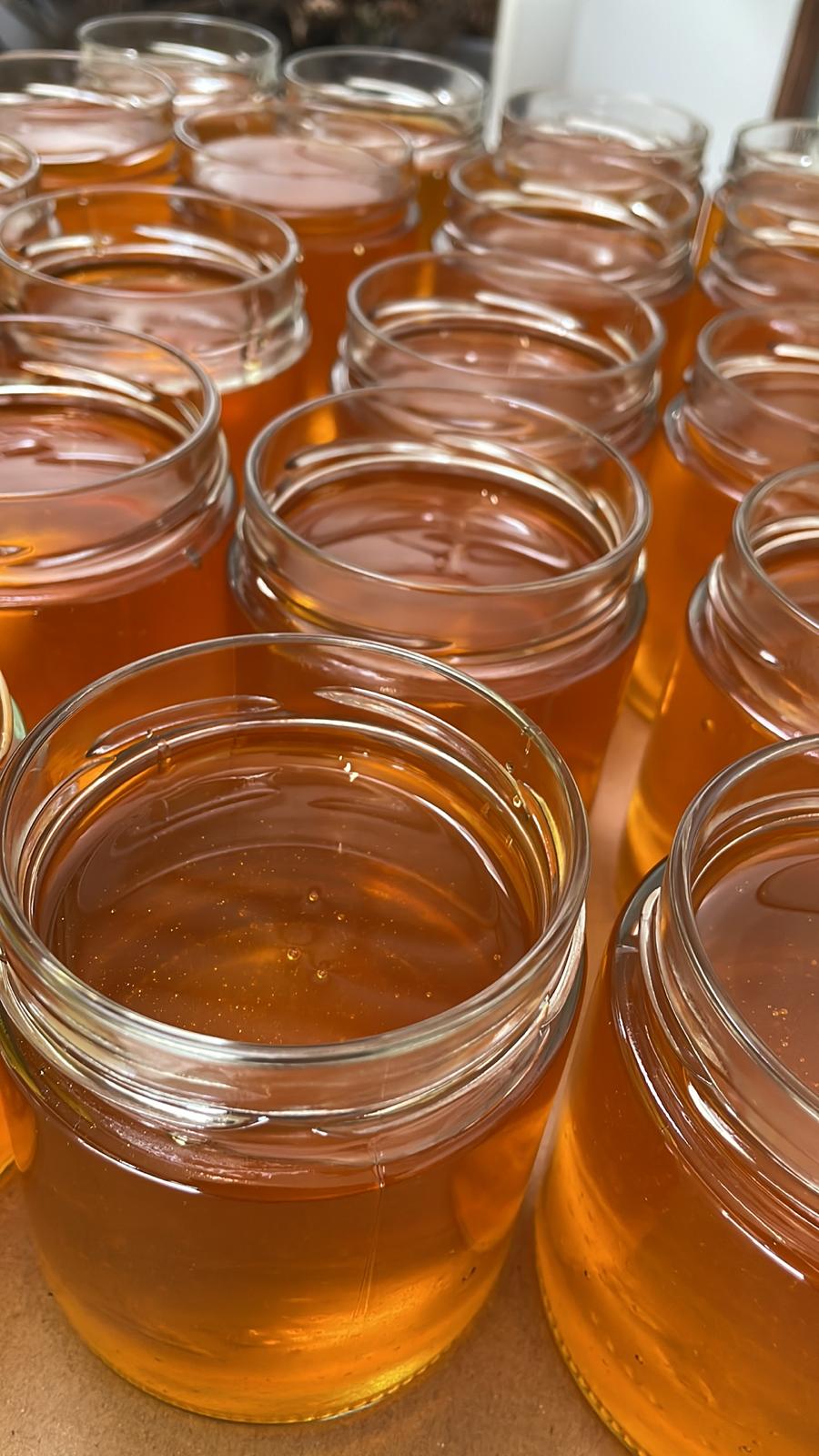 Ein Bienenstock der Honiggläser während der Abfüllung für die Honigpatenschafts-Lieferungen der Forstfreunde.