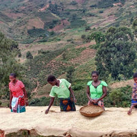 Kaffeepflanze in Malawi adoptieren - der Forstfreunde-Blend