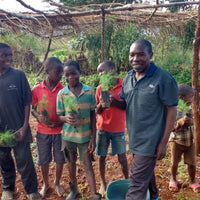 Bäume pflanzen in Malawi: Stärken Sie Umwelt und Gemeinschaft