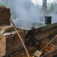 Ein traditioneller Lehmofen mit einem großen, dampfenden Metallbehälter zur Herstellung von Panela. Ein Holzrührstab lehnt an der Seite des Ofens. Im Hintergrund sind grüne Pflanzen und Bäume zu sehen.