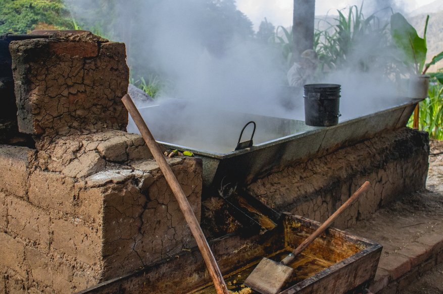 Ein traditioneller Lehmofen mit einem großen, dampfenden Metallbehälter zur Herstellung von Panela. Ein Holzrührstab lehnt an der Seite des Ofens. Im Hintergrund sind grüne Pflanzen und Bäume zu sehen.