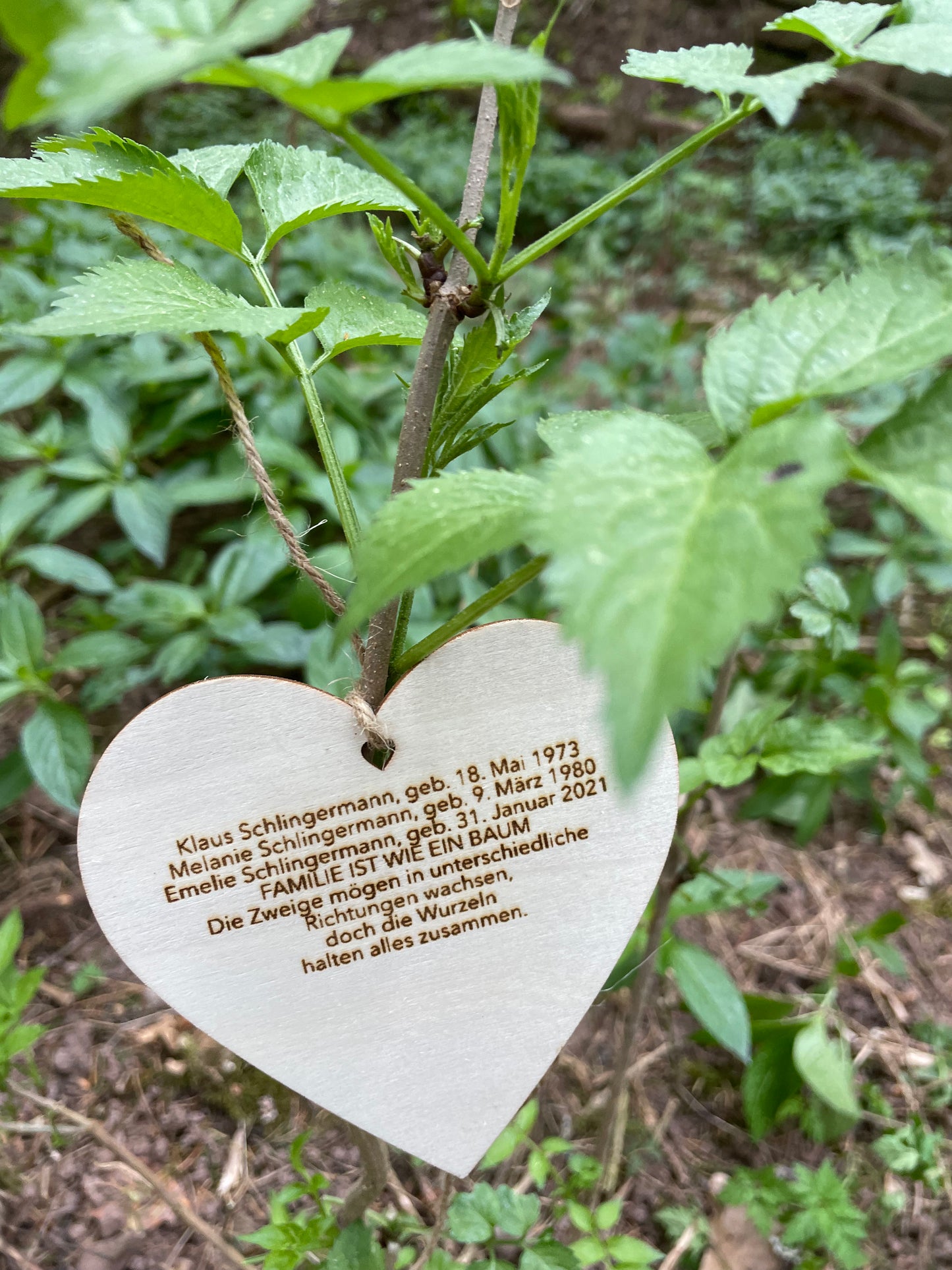 Ein Holzherz aus einer Baumpatenschaft von Forstfreunde mit persönlicher Widmung.