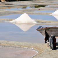 Eine traditionelle Salzgewinnungsanlage mit mehreren flachen Salinenbecken. In einem der Becken ist ein großer Salzberg sichtbar, der sich im Wasser spiegelt. Im Vordergrund steht eine hölzerne Schubkarre, die für den Transport des geernteten Salzes verwendet wird. Die Szene vermittelt einen Eindruck von Handarbeit und traditioneller Salzproduktion.