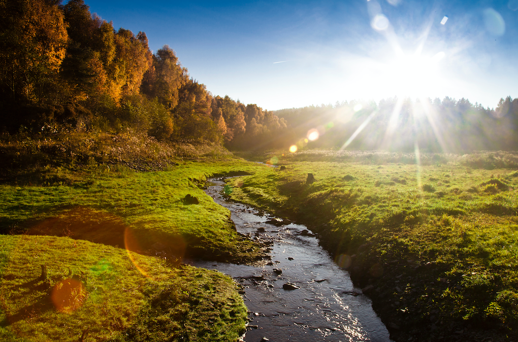 Ein idyllischer Herbstmorgen mit strahlendem Sonnenschein. Ein kleiner Bach schlängelt sich durch grüne Wiesen, die von herbstlich gefärbten Bäumen gesäumt sind. Die goldenen Sonnenstrahlen brechen durch den klaren blauen Himmel und erzeugen Lens Flare-Effekte, die der Szene eine magische Atmosphäre verleihen.