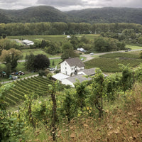 Blick über einen grünen Weinberg in einer hügeligen Landschaft, im Vordergrund stehen Weinstöcke, im Hintergrund ist ein weißes Haus und weitere Weinreben zu sehen. Der Himmel ist bewölkt und die umliegenden Wälder erstrecken sich bis zu den Hügeln im Hintergrund.