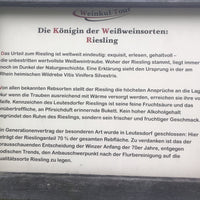 Informationstafel mit dem Titel 'Die Königin der Weißweinsorten: Riesling', die die Eigenschaften und Geschichte des Rieslings beschreibt. Es wird auf die hohe Qualität und den besonderen Geschmack des Rieslings hingewiesen, sowie auf den Anbau in Leutesdorf, wo der Riesling 70 % der Rebfläche ausmacht.