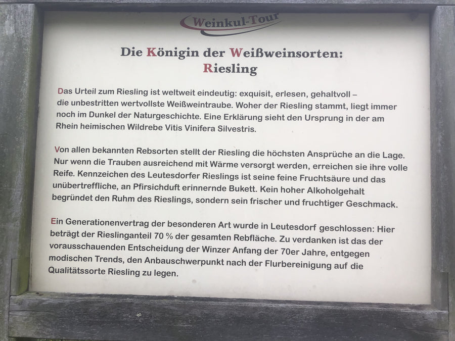 Informationstafel mit dem Titel 'Die Königin der Weißweinsorten: Riesling', die die Eigenschaften und Geschichte des Rieslings beschreibt. Es wird auf die hohe Qualität und den besonderen Geschmack des Rieslings hingewiesen, sowie auf den Anbau in Leutesdorf, wo der Riesling 70 % der Rebfläche ausmacht.