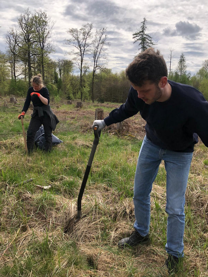 d ist eine weitere Person zu sehen, die ebenfalls an den Pflanzungen arbeitet. Die Baumstümpfe im Hintergrund deuten auf frühere Abholzungen aufgrund von Borkenkäferschäden hin.