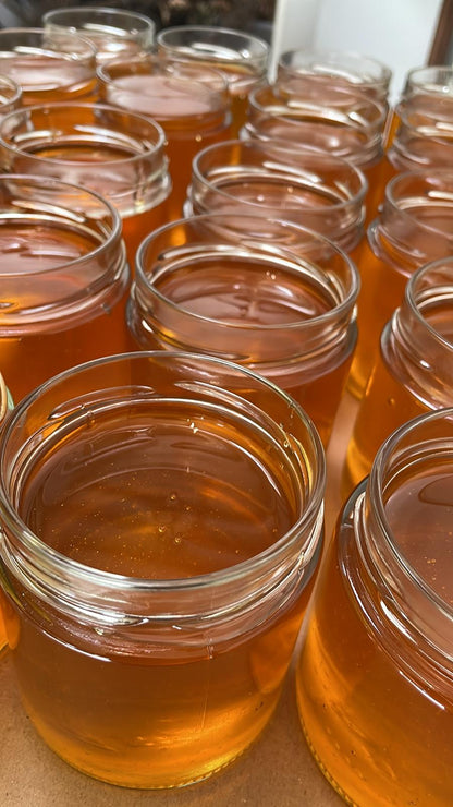 🍯 Bienenstock in Deutschland adoptieren - Honigpatenschaft