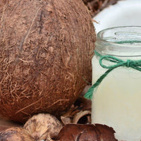 Das Bild zeigt eine ganze Kokosnuss, eine aufgebrochene Kokosnuss und ein Glas mit Kokosöl. Um die Kokosnüsse und das Glas herum liegen getrocknete Kokosnussstücke und -schalen. Im Hintergrund sind grüne Blätter unscharf zu erkennen.