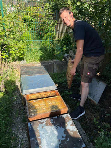 Bienenstock im Rheinland adoptieren