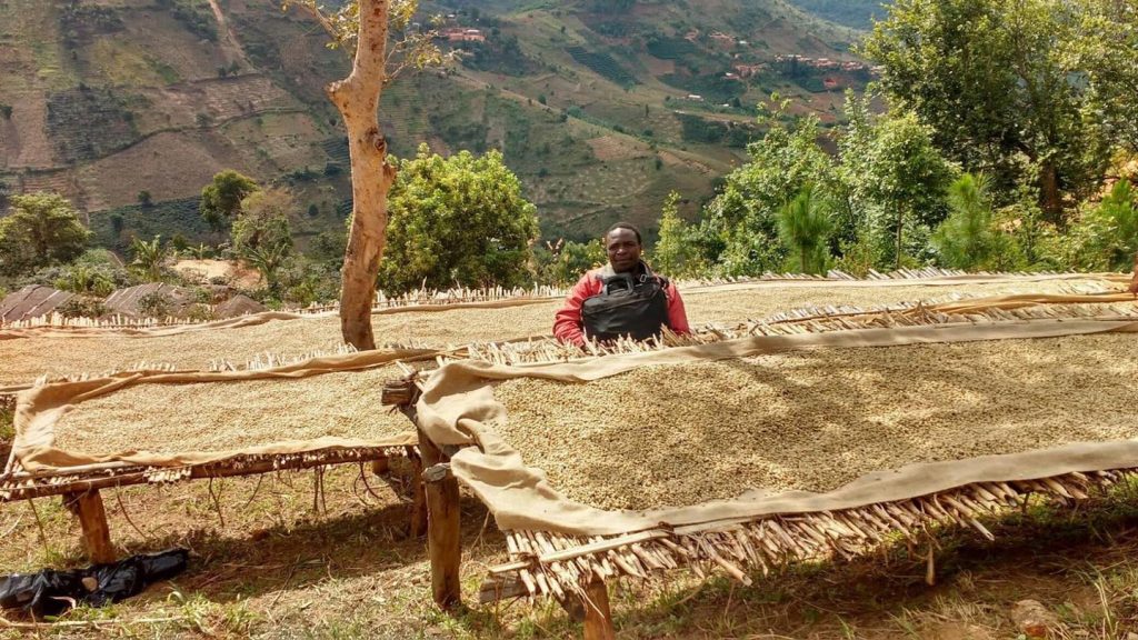 Ein Mann steht neben hölzernen Trockengestellen, auf denen Kaffeebohnen zum Trocknen ausgebreitet sind. Die Gestelle befinden sich auf einem Hang mit Blick auf eine hügelige Landschaft, umgeben von Bäumen und Vegetation. Der Mann trägt eine rote Jacke und blickt in die Kamera.